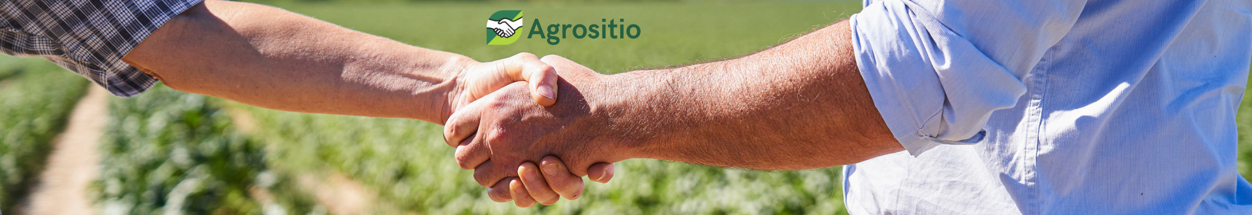 Imagen institucional